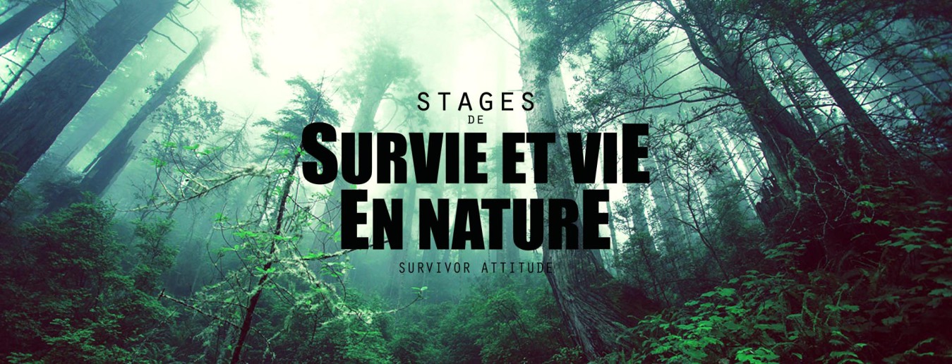 Tous les stages de survie en nature, en solo, en groupe, en famille ! Stage  de survie, stage expérience survie, stage de survie froid, stage bushcraft,  stage chasse, peche, cueillette, stage jungle
